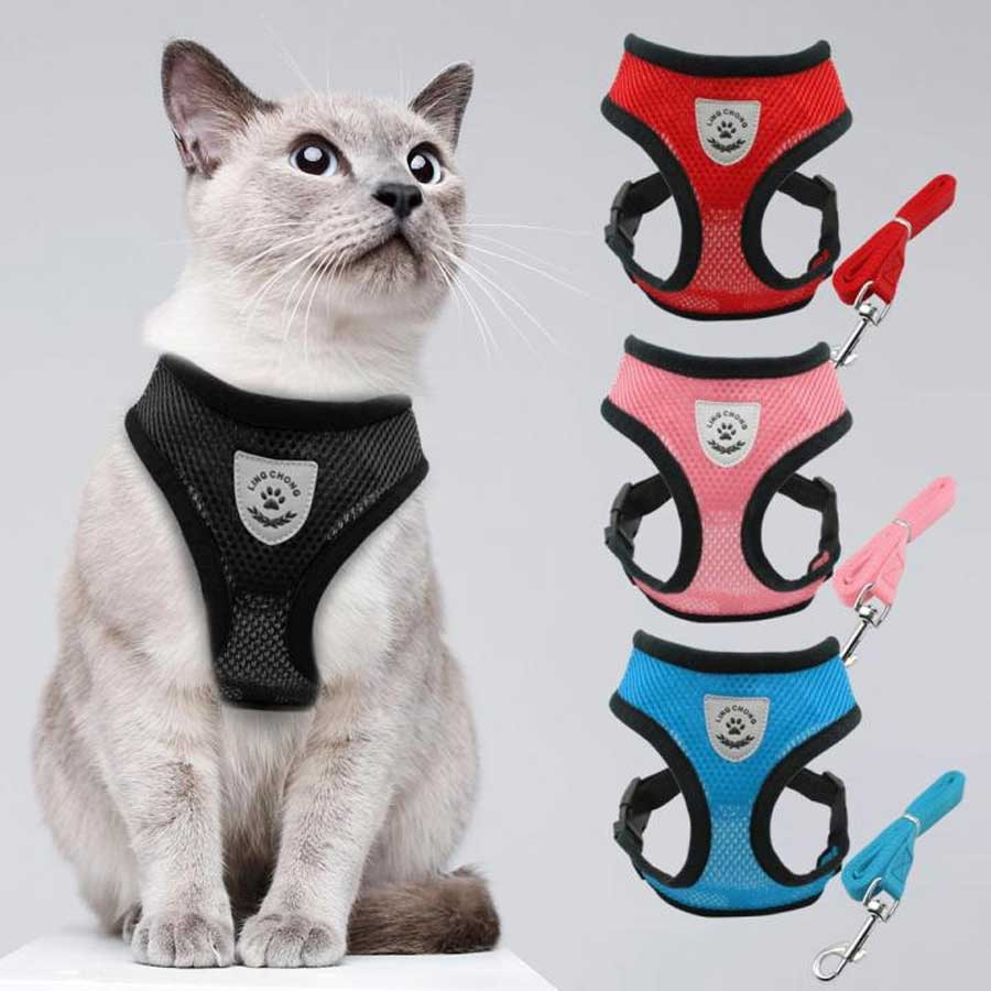 Cat Body Harness M Size
